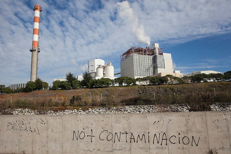 Entre octubre y noviembre de 2020, PROMA impulsó una encuesta de opinión que recopiló las reflexiones de más de 40 académicas y académicos que desarrollan investigaciones en temas ambientales.